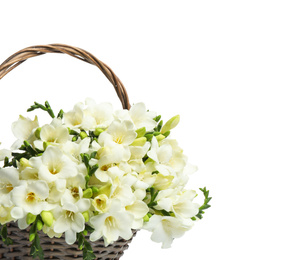 Photo of Beautiful freesia flowers in basket on white background, closeup