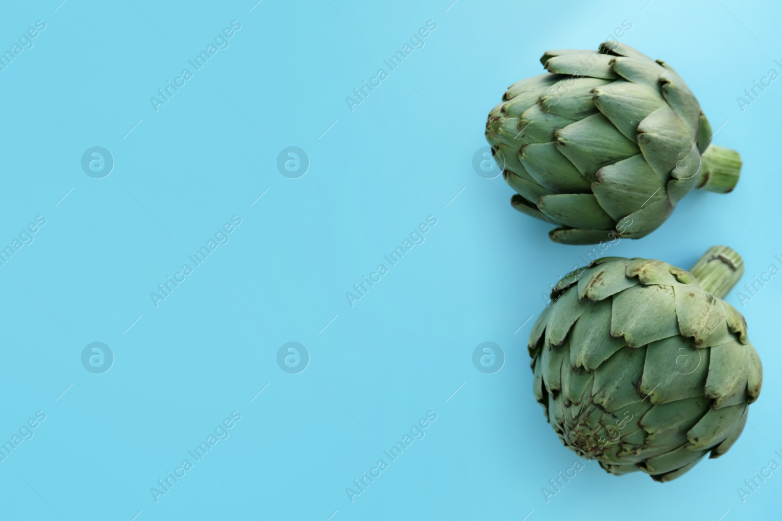 Photo of Whole fresh raw artichokes on light blue background, flat lay. Space for text