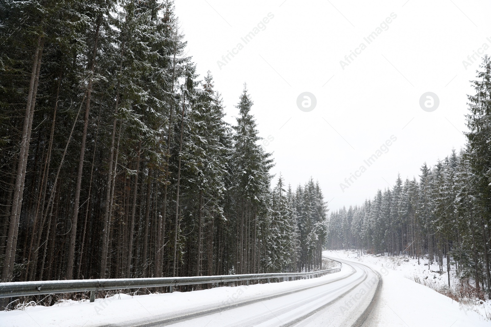 Photo of Beautiful landscape with conifer forest and road on snowy winter day