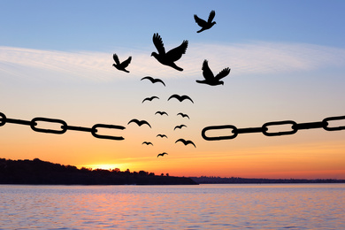 Freedom concept. Silhouettes of broken chain and birds flying over river at sunset