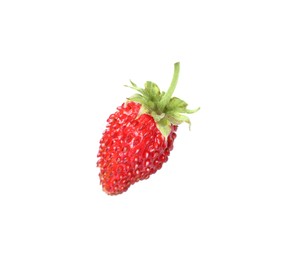 One ripe wild strawberry isolated on white