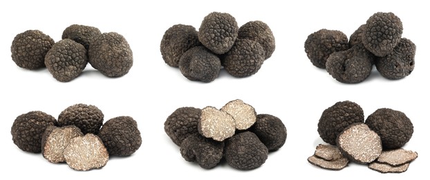 Image of Set with expensive delicious black truffles on white background. Banner design