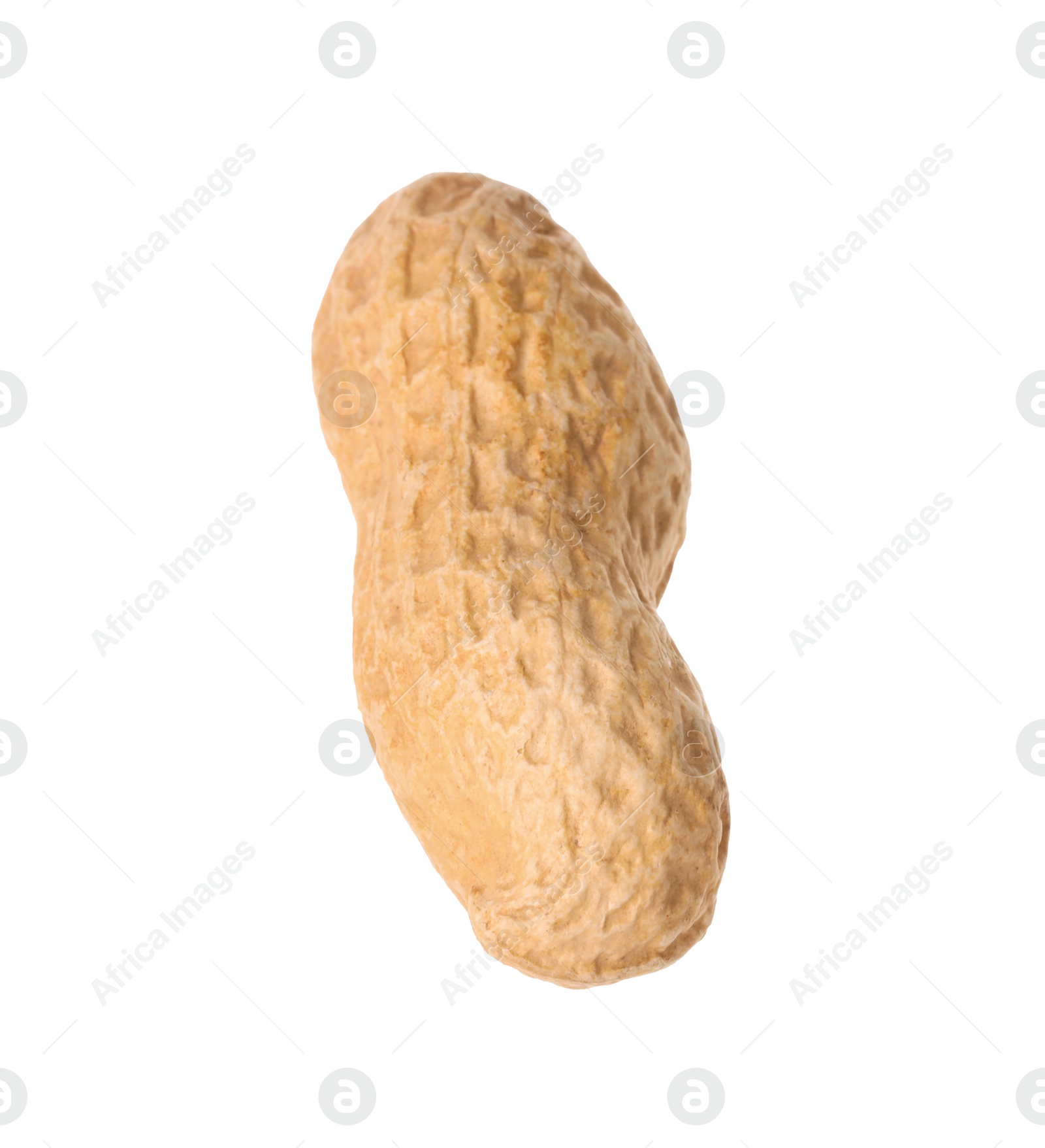 Photo of One fresh unpeeled peanut isolated on white