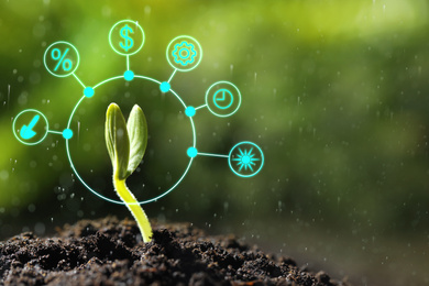 Image of Modern technology in agriculture. Green seedling and icons