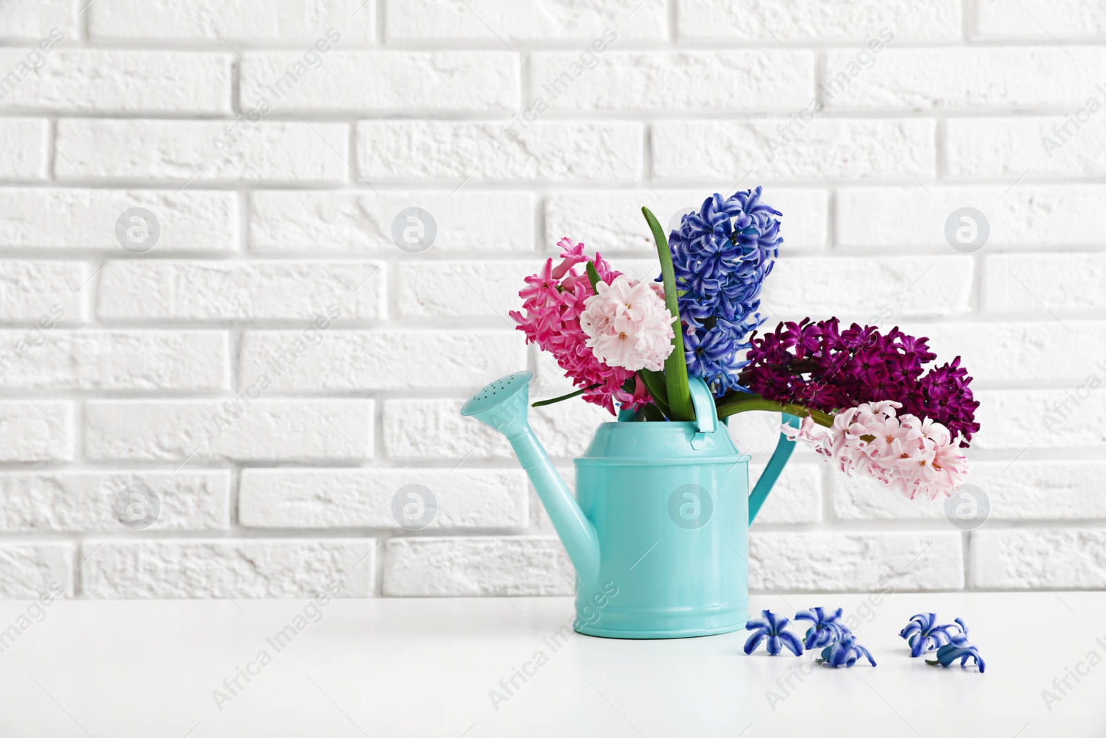 Photo of Beautiful hyacinths in watering can on table against brick wall, space for text. Spring flowers