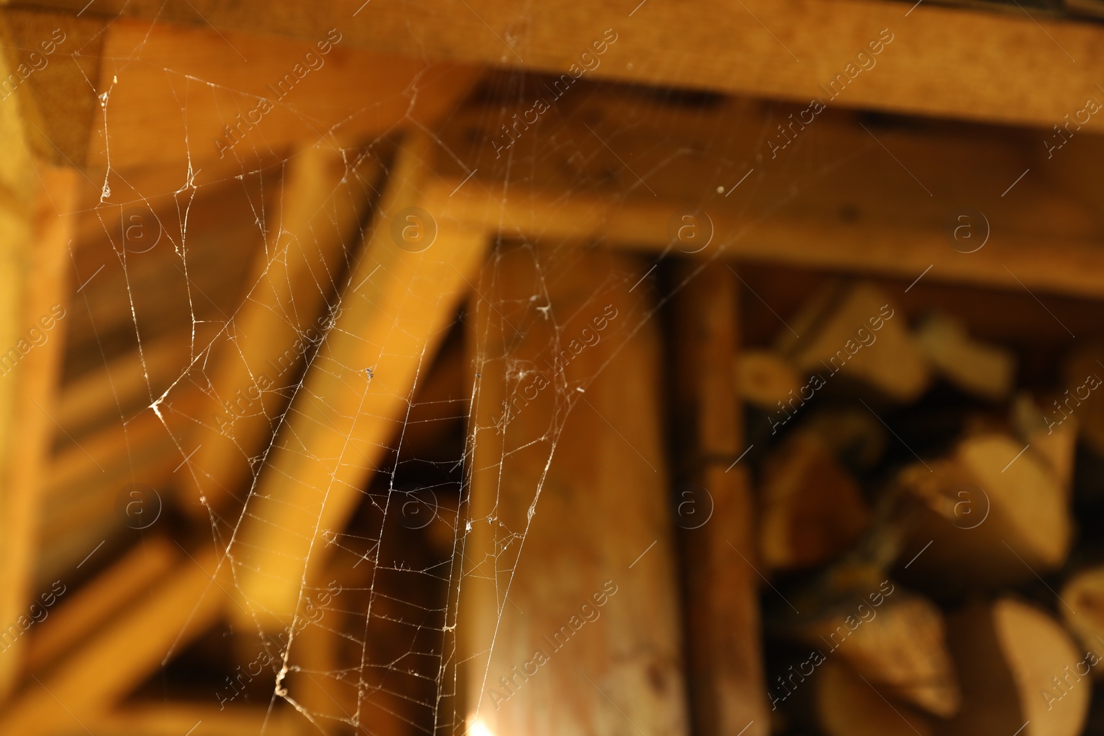 Photo of Cobweb on wooden building outdoors, closeup. Space for text