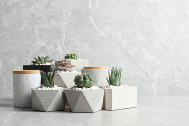 Photo of Beautiful succulent plants in stylish flowerpots on table against grey background, space for text. Home decor