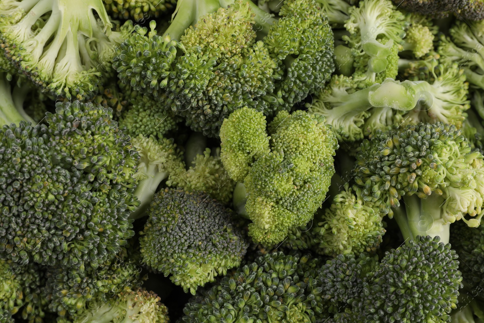 Photo of Fresh raw broccoli as background, top view