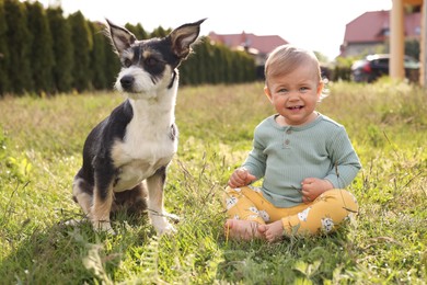 Photo of Adorable baby and furry little dog on green grass outdoors