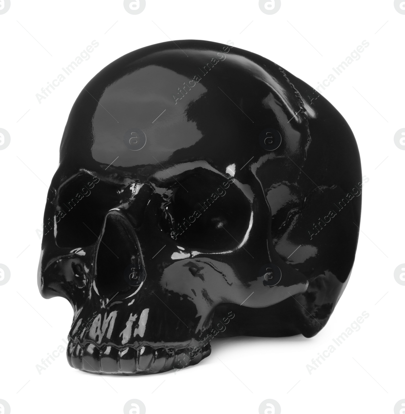 Photo of Black glossy human skull isolated on white