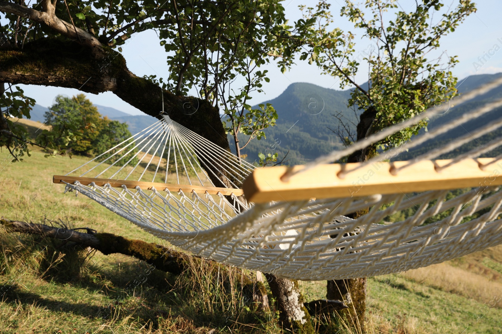Photo of Comfortable net hammock in mountains on sunny day, closeup