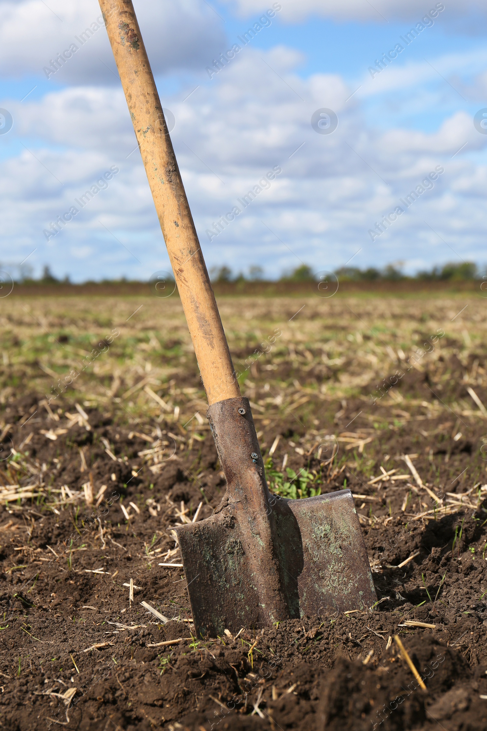 Photo of Shovel with wooden handle in field soil