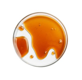 Petri dish with color liquid sample on white background, top view