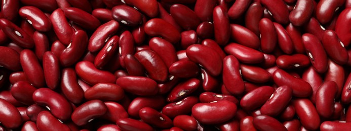 Red kidney beans as background, top view. Banner design