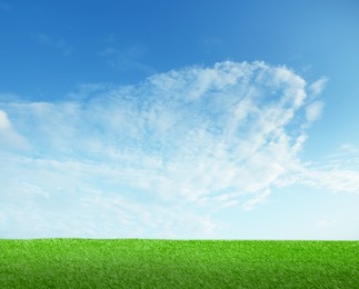 Image of Green grass under blue sky with clouds