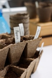 Many peat pots with cards of vegetable names, closeup. Growing seeds