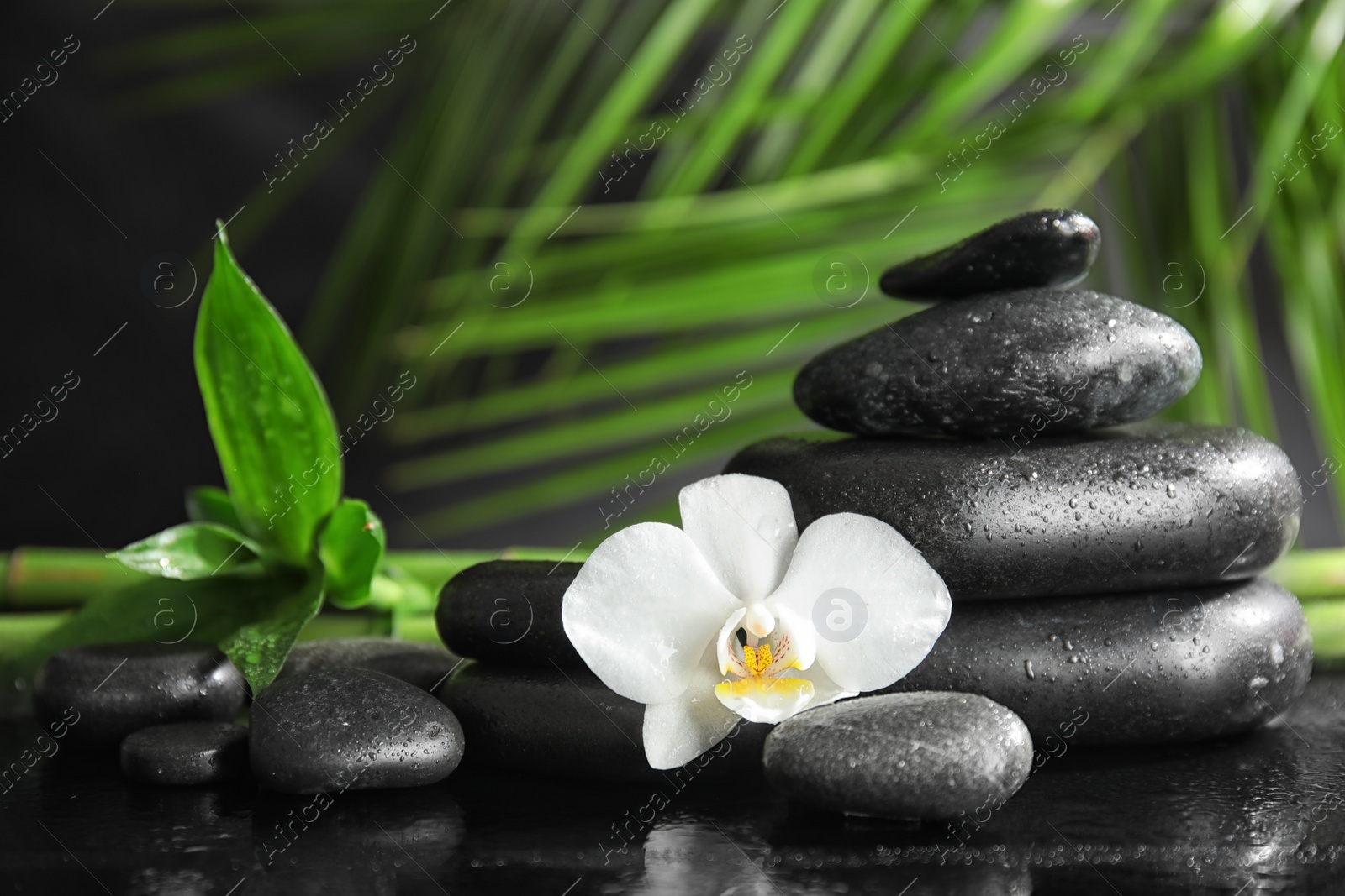 Photo of Spa stones with orchid flower and bamboo leaves on dark table