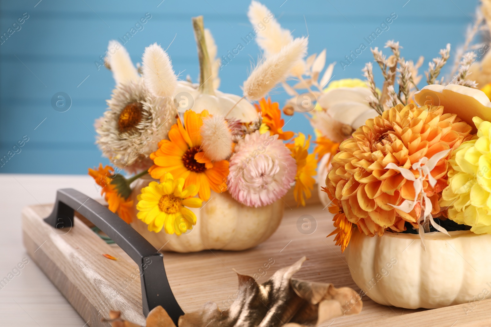 Photo of Composition with small pumpkins, beautiful flowers and spikelets on table, closeup