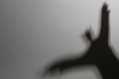 Shadow of hands like bird on grey background. Space for text