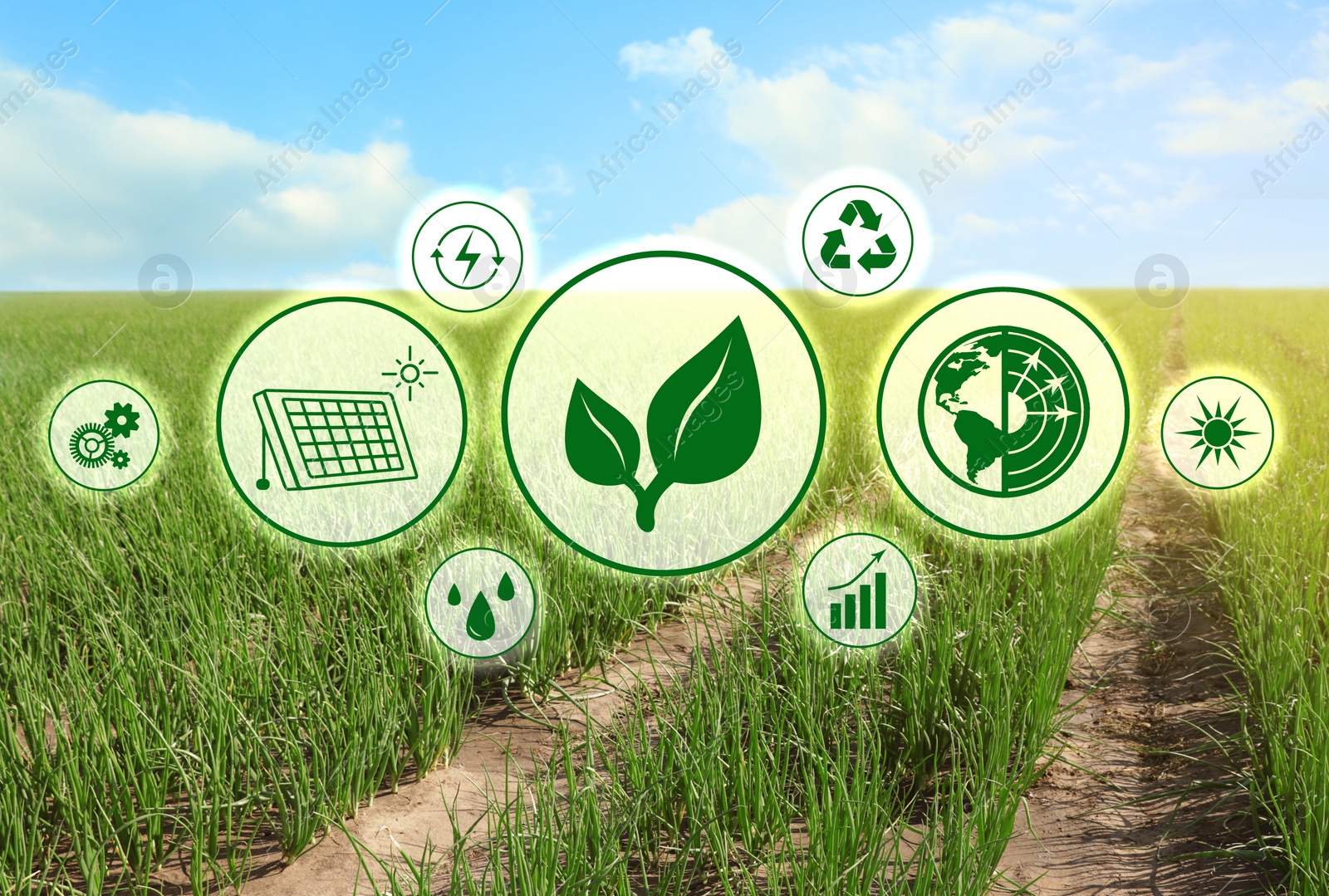 Image of Modern agriculture concept. Icons and field on background