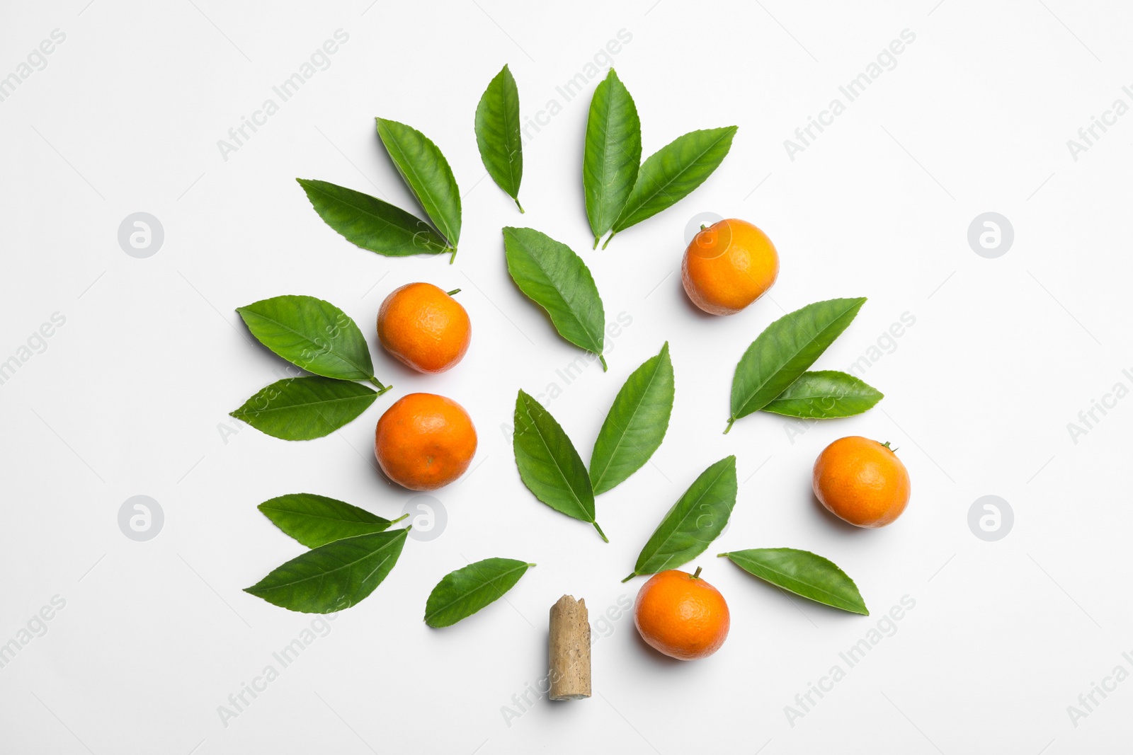 Photo of Composition with fresh green citrus leaves and tangerines on white background, top view