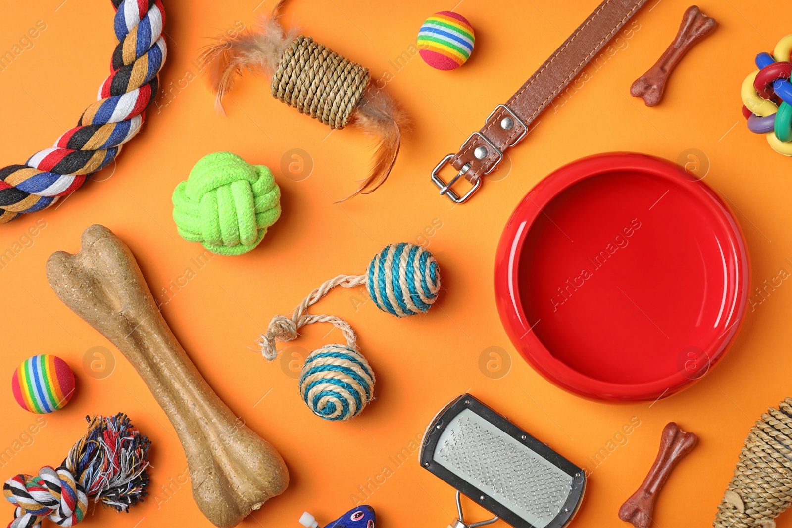 Photo of Flat lay composition with accessories for dog and cat on color background. Pet care
