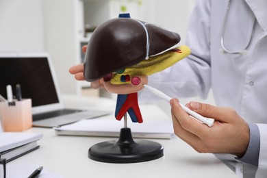 Photo of Doctor demonstrating model of liver at table in clinic, closeup