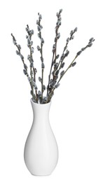 Photo of Beautiful blooming pussy willow branches in vase on white background