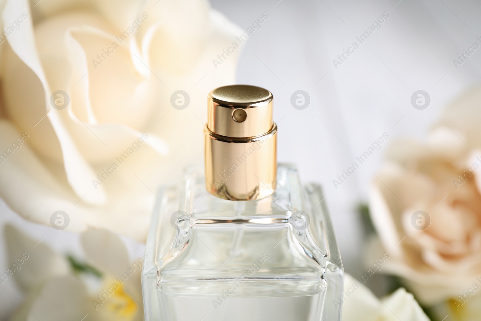 Photo of Bottle of perfume on blurred background, closeup