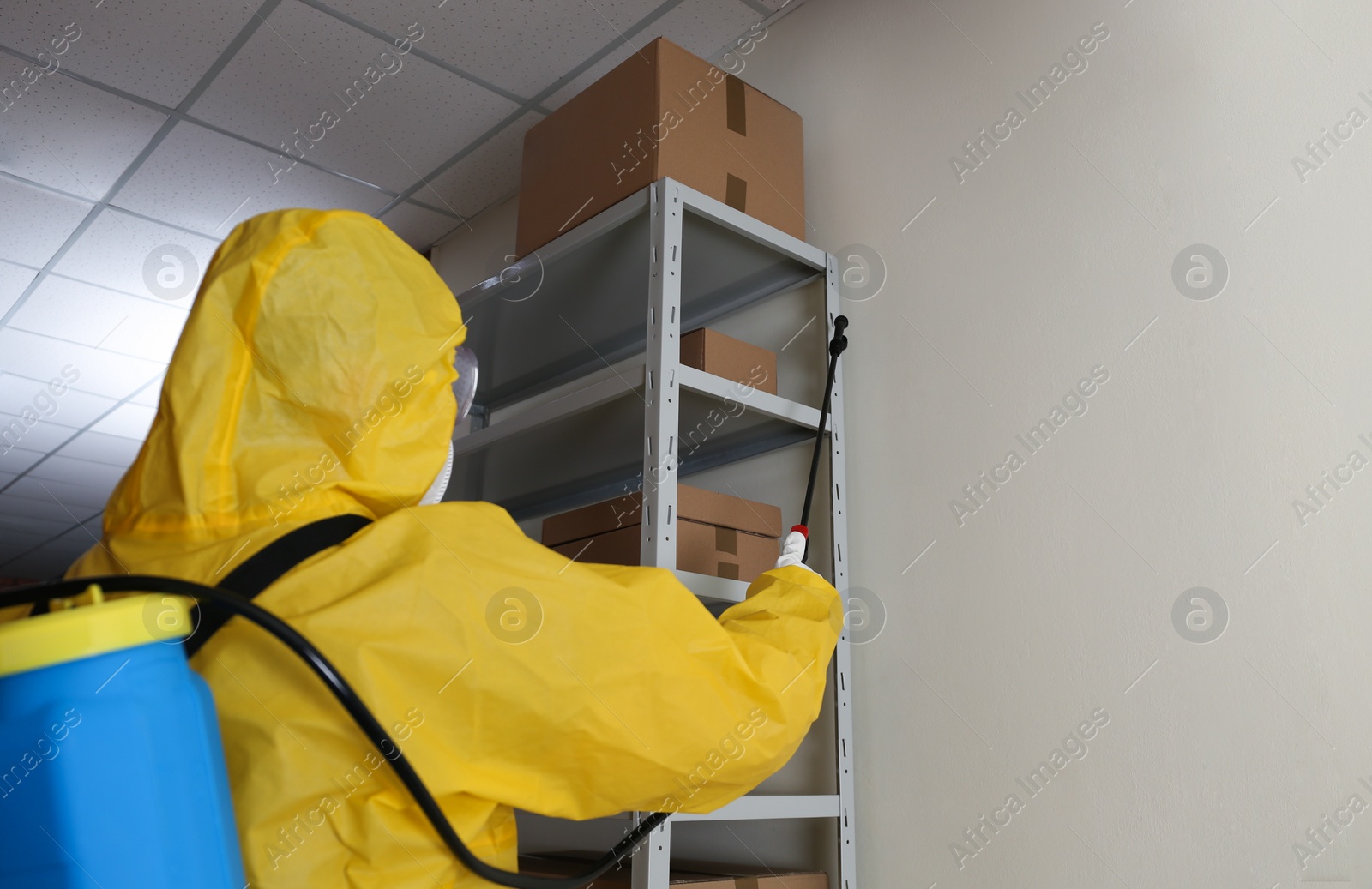 Photo of Pest control worker spraying pesticide on rack indoors