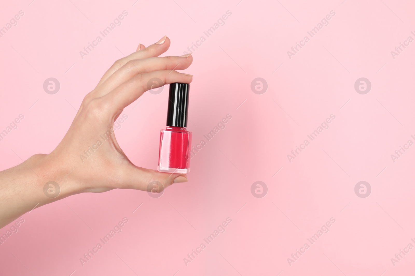 Photo of Woman holding nail polish on pink background, closeup. Space for text