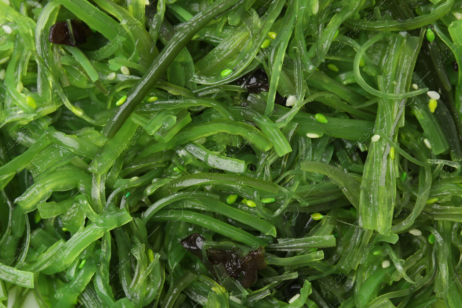 Photo of Tasty seaweed salad as background, top view