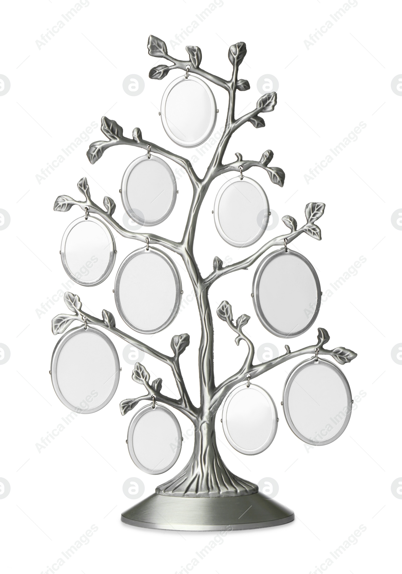 Photo of Blank metal family tree frame isolated on white