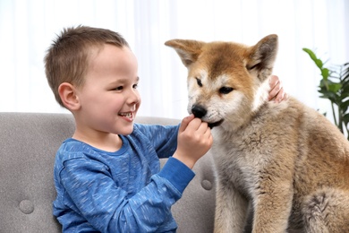 Photo of Happy boy with Akita Inu dog on sofa. Little friends