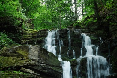 Photo of Picturesque view of waterfall and rocks in forest
