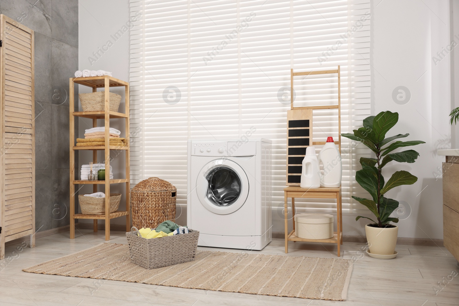 Photo of Laundry room interior with washing machine, baskets and houseplant