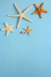 Beautiful starfishes and sea shell on light blue background, flat lay. Space for text