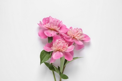 Photo of Beautiful fresh peony flowers with leaves on white background, top view