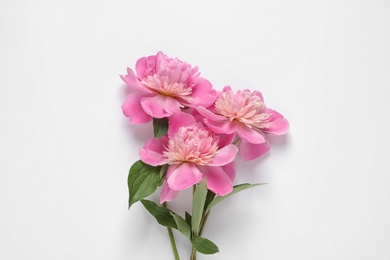 Beautiful fresh peony flowers with leaves on white background, top view