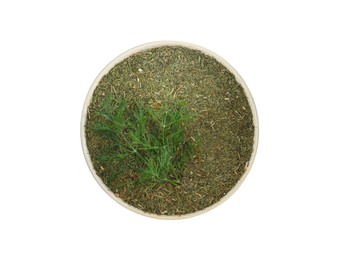 Bowl with aromatic dry dill on white background, top view