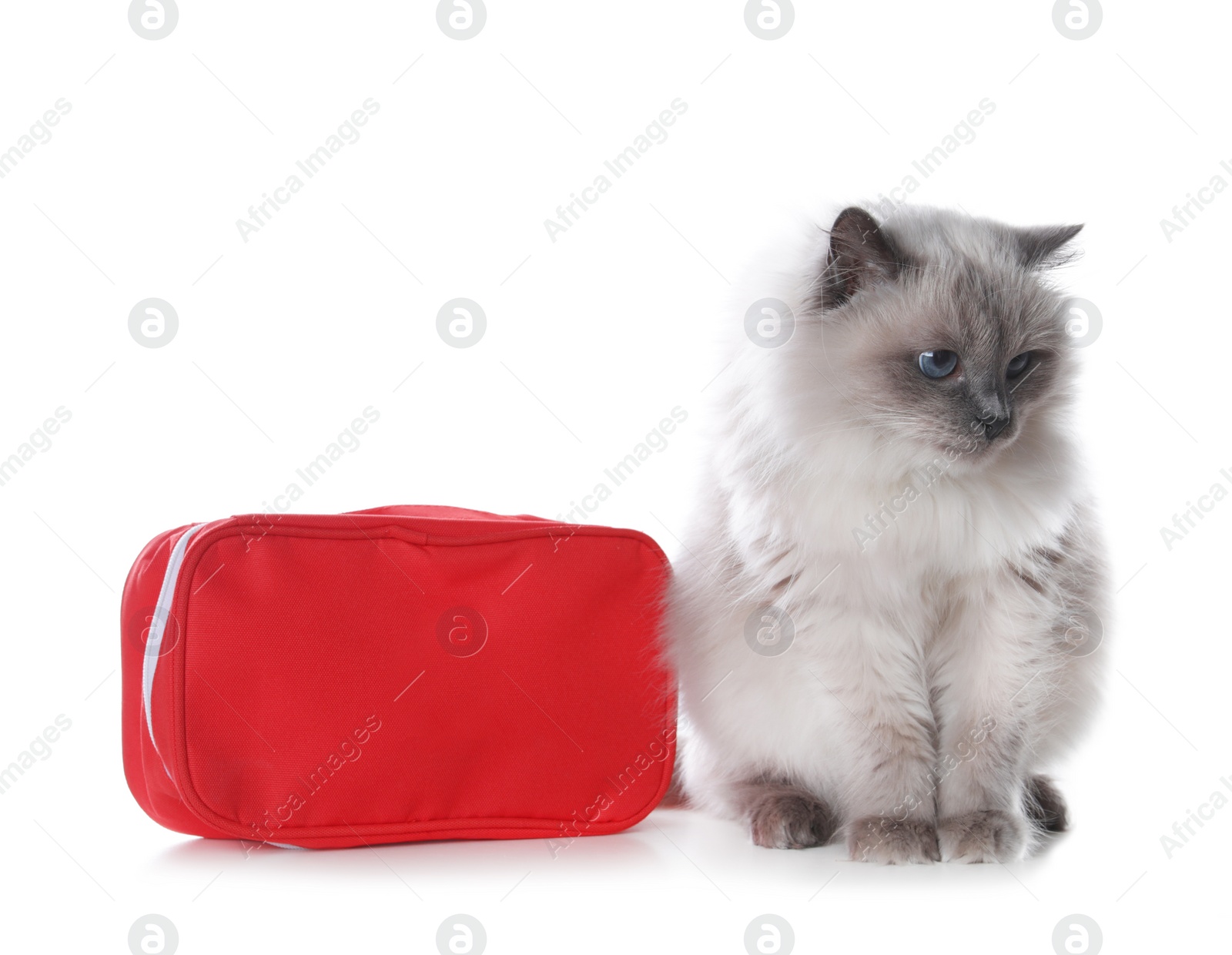 Photo of First aid kit and cute cat on white background. Animal care