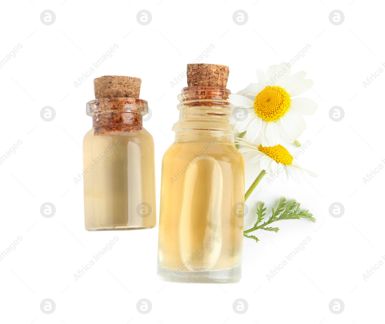 Photo of Bottles of essential oil and chamomiles isolated on white, top view