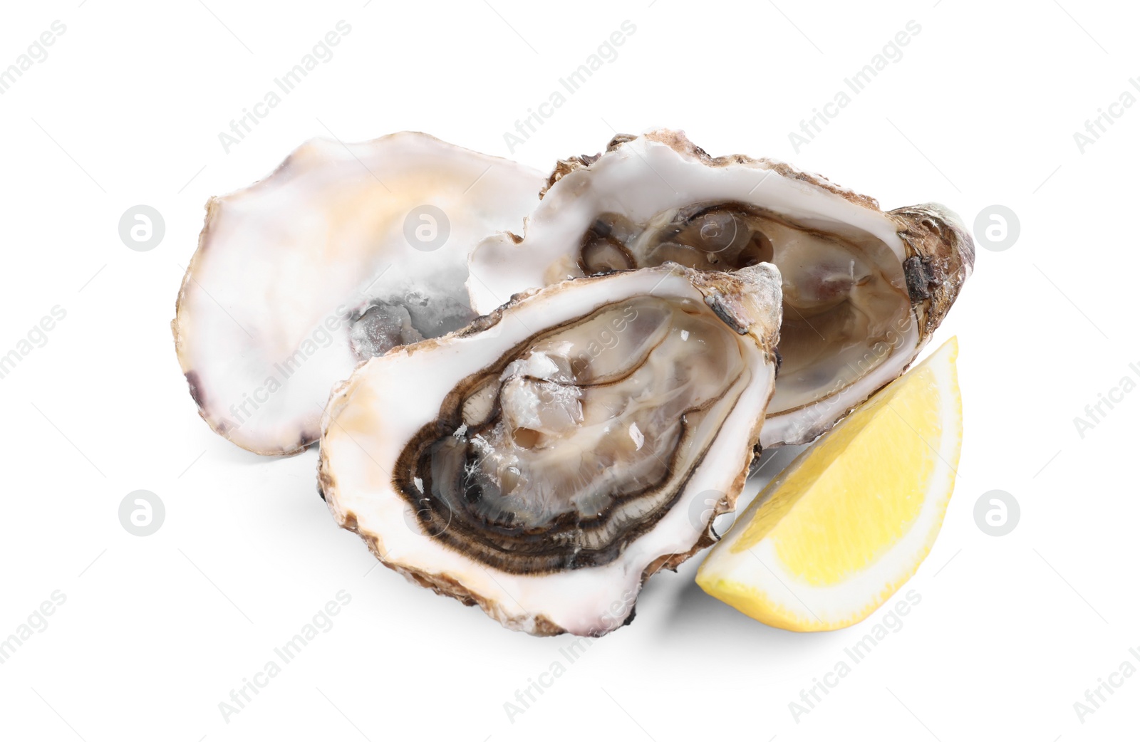 Photo of Fresh raw oysters served on white background