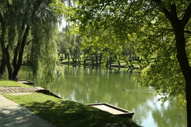 Quiet park with green trees and pond on sunny day