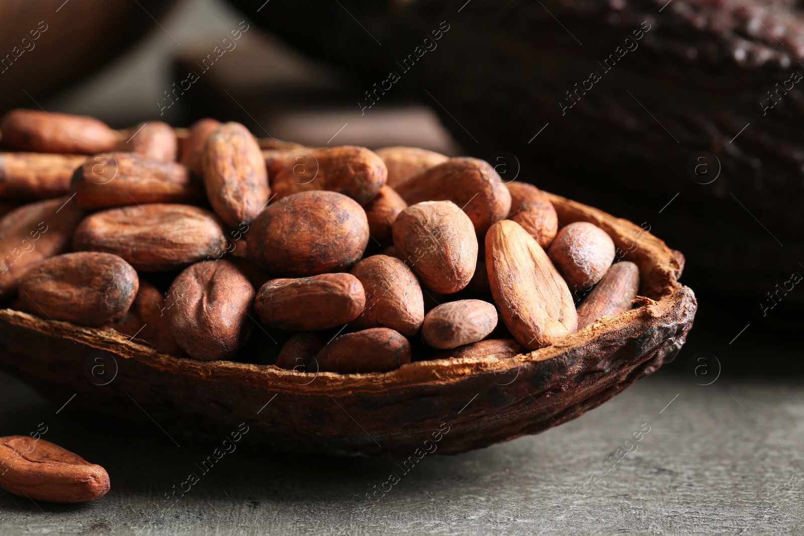 Photo of Cocoa pod of beans on grey table, closeup