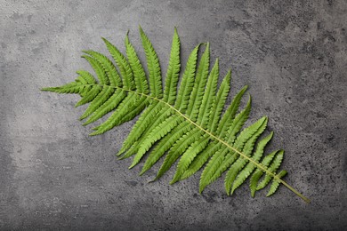 Beautiful tropical fern leaf on grey stone background, top view