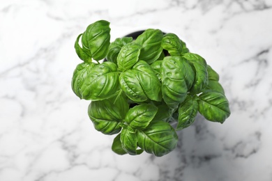 Photo of Fresh basil in pot on marble background, top view