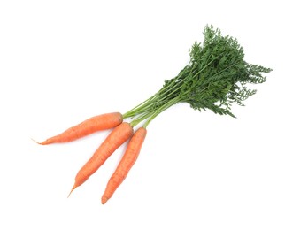 Photo of Tasty ripe carrots on white background, top view