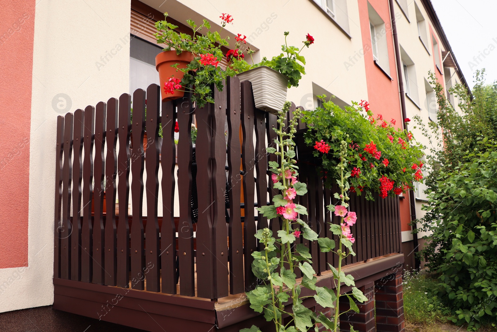 Photo of Wooden balcony decorated with beautiful red flowers