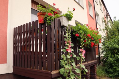 Photo of Wooden balcony decorated with beautiful red flowers